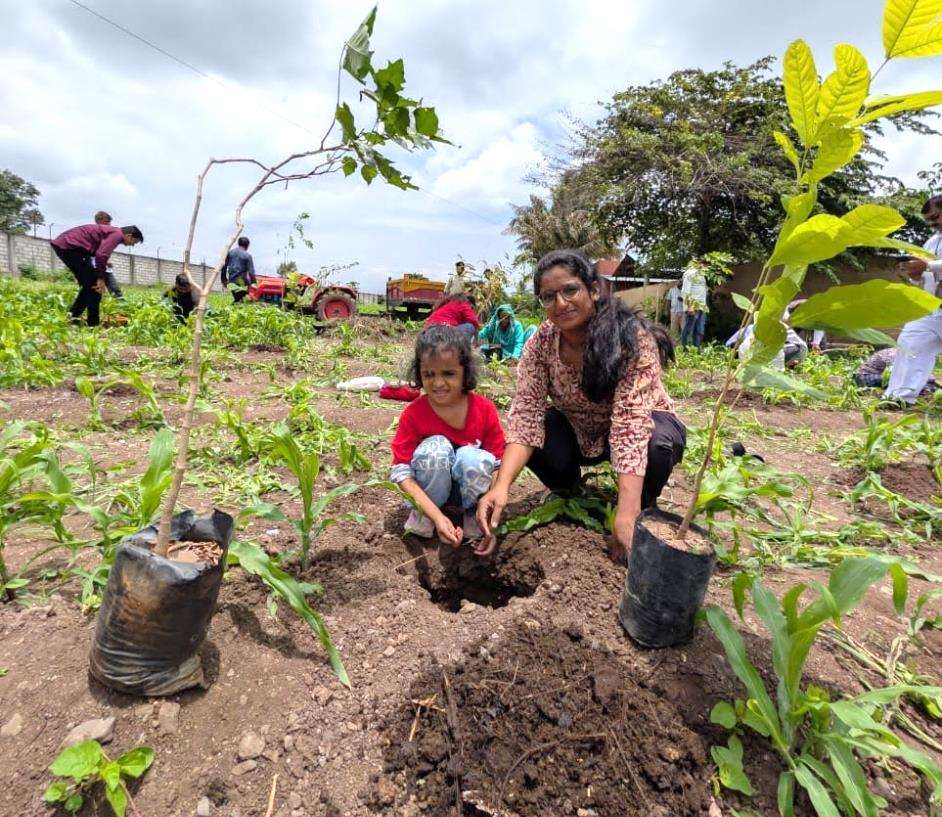 Volunteers actively planting saplings during 1,000 tree plantation drive