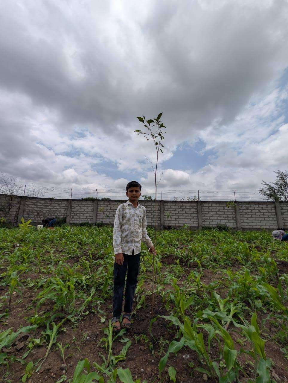 Young boy beside newly planted tree at Akshar Manav Jhaad Sammelan